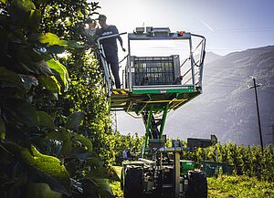 Image-583